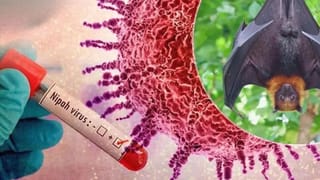 ಖರ್ಜೂರ ಅಥವಾ ಬಾದಾಮಿ; ಈ ಋತುಮಾನಕ್ಕೆ ಯಾವುದರ ಸೇವನೆ ಆರೋಗ್ಯಕರ?