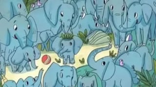 Video: ಹೈವೇ ಮಧ್ಯದಲ್ಲಿ ಕಪಲ್ ಫೋಟೊಶೂಟ್, ವೇಗವಾಗಿ ಬಂದ ಕಾರು, ಆಮೇಲೇನಾಯ್ತು?