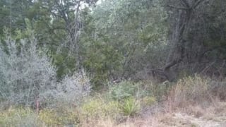 Video: ಮಗಳ ಭವಿಷ್ಯಕ್ಕಾಗಿ ತಂದೆಯ ಹೋರಾಟ; ತನ್ನ ಆಟೋದಲ್ಲಿ ಮಗಳನ್ನು ಮಲಗಿಸಿ ಆಟೋ ಓಡಿಸುವ ವ್ಯಕ್ತಿ