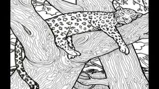 Viral Video: ಮೇಕೆ ಮರಿಯನ್ನು ರಕ್ಷಿಸಲು ಬಾಲಕನಿಗೆ ಹಗ್ಗ ಕಟ್ಟಿ 40 ಅಡಿ ಆಳದ ಬಾವಿಗೆ ಇಳಿಸಿದ್ರು