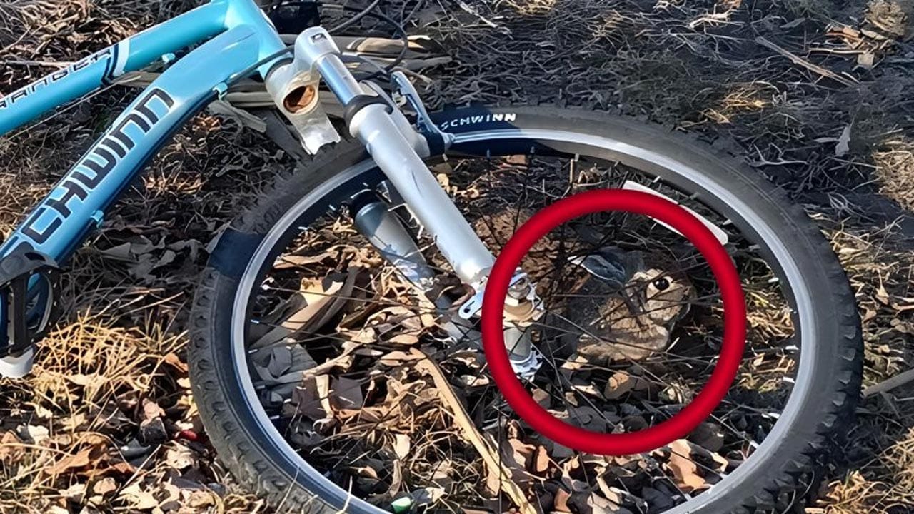 Optical Illusion Answer