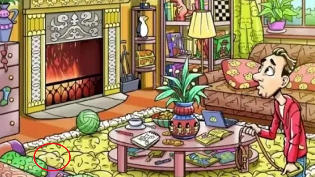 Optical Illusion Answer