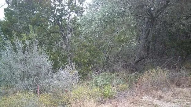 Optical Illusion Photo