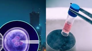 ಮತ್ತೆ ಸಕ್ರಿಯ ರಾಜಕೀಯಕ್ಕೆ ಅನಂತ್ ಕುಮಾರ್ ಹೆಗಡೆ? ಹಿಂದೂ ಸಂಗಮದ ಮೂಲಕ ಎರಡನೇ ಇನ್ನಿಂಗ್ಸ್ ಆರಂಭಿಸಲು ಸಜ್ಜು