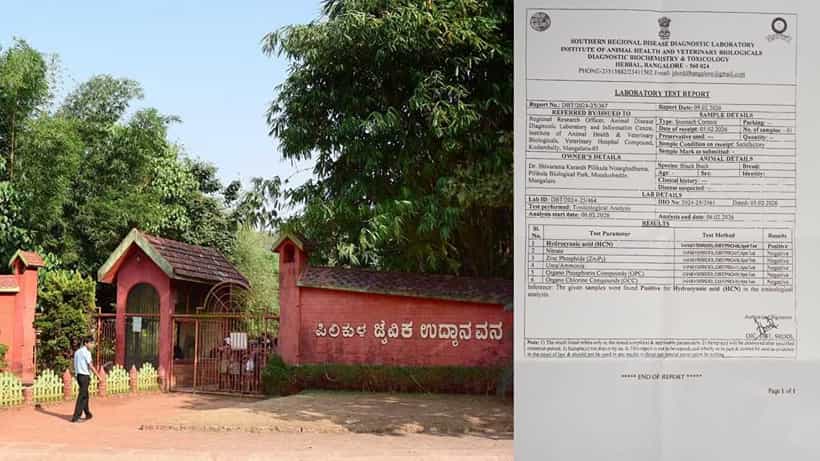 ಪಿಲಿಕುಳ ಮೃಗಾಲಯದ ಪ್ರಾಣಿಗಳ ಅಸಹಜ ಸಾವಿಗೆ ಕಾರಣವಾಯ್ತಾ ಸ್ಲೋ ಪಾಯಿಸನ್!