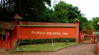 Mangaluru: ಕೌಟುಂಬಿಕ ಕಲಹಕ್ಕೆ ಹರಿದ ನೆತ್ತರು; ಗಲಾಟೆ ವೇಳೆ ಹೋಯ್ತು ಇಬ್ಬರ ಪ್ರಾಣ!