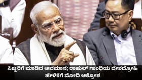 ರಾಹುಲ್ ಗಾಂಧಿಯ ದೇಶದ್ರೋಹಿ ಹೇಳಿಕೆಗೆ ಮೋದಿ ಆಕ್ರೋಶ