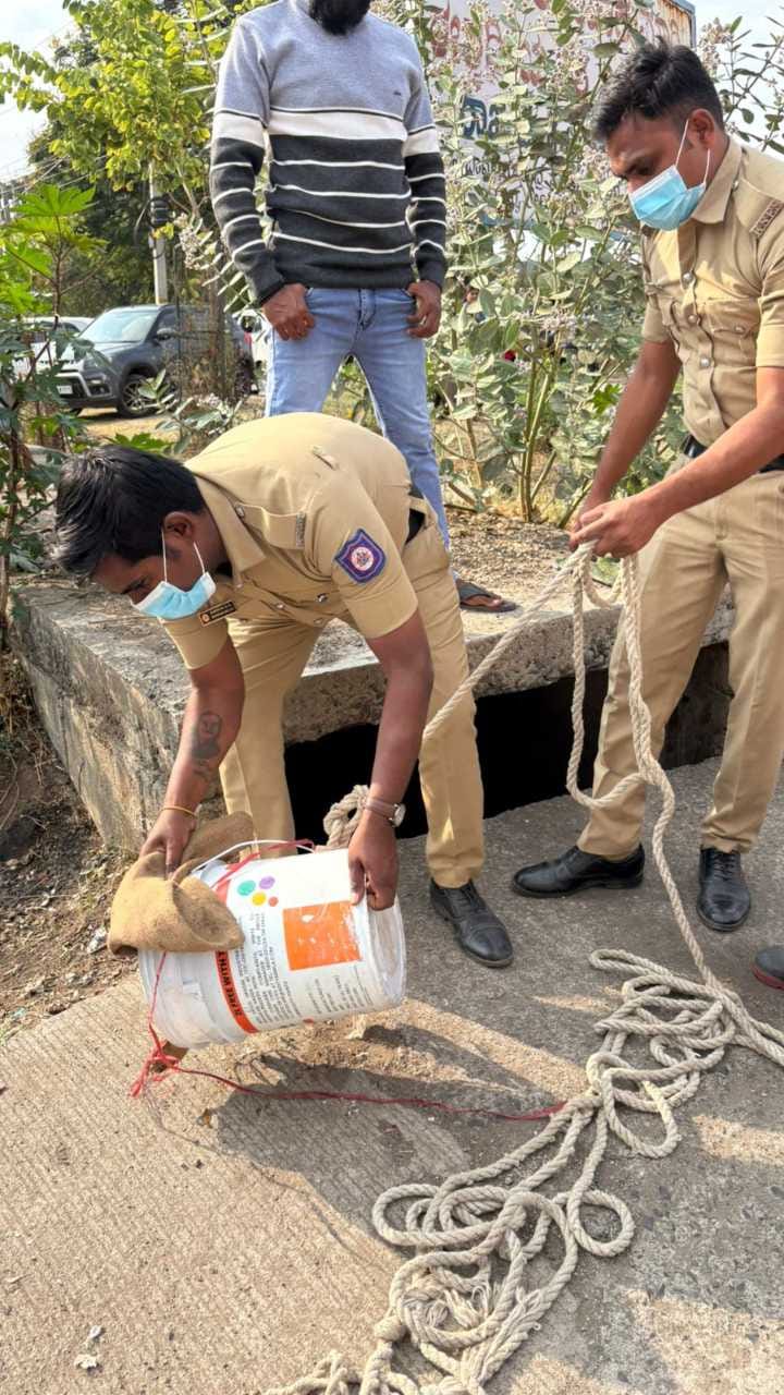 ಚರಂಡಿಗೆ ಬಿದ್ದ ನಾಯಿಮರಿಗಳನ್ನು ರಕ್ಷಿಸಿದ ಅಗ್ನಿಶಾಮಕ ಸಿಬ್ಬಂದಿ!