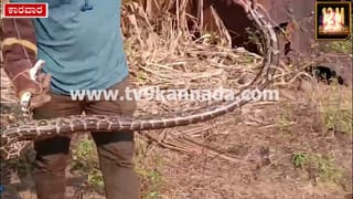 ಸರ್ಕಾರಿ ಆಸ್ಪತ್ರೆಯಲ್ಲಿ ಅವಧಿ ಮೀರಿದ ಔಷಧಿ ವಿತರಣೆ ಪ್ರಶ್ನಿಸಿದ್ದಕ್ಕೆ ಬೆದರಿಕೆ ಆರೋಪ