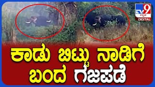 ಜೀ ಕನ್ನಡದ ಹೊಸ ಧಾರಾವಾಹಿಗೆ ನಾಯಕಿಯಾದ ಮೋಕ್ಷಿತಾ ಪೈ