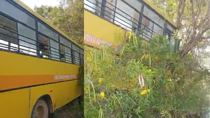 ತಪ್ಪಿದ ಭಾರಿ ದುರಂತ: ಕೆರೆ ಪಕ್ಕದ ಮರಕ್ಕೆ ಗುದ್ದಿ ನಿಂತ ಸ್ಕೂಲ್​​ ಬಸ್​​