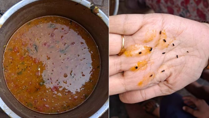 ವಿದ್ಯಾರ್ಥಿಗಳಿಗೆ ಶಾಕ್​​: ಸಾಂಬಾರಿನಲ್ಲಿ ನುಸಿ ಹುಳ ಪತ್ತೆ