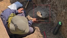 ತೆಕ್ಕಲಕೋಟೆ ಉತ್ಖನನದ ವೇಳೆ ಶಿಲಾಯುಗ ಕಾಲದ 3ನೇ ಅಸ್ಥಿಪಂಜರ ಪತ್ತೆ