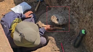 ತೆಕ್ಕಲಕೋಟೆ ಉತ್ಖನನದ ವೇಳೆ ಶಿಲಾಯುಗ ಕಾಲದ 3ನೇ ಅಸ್ಥಿಪಂಜರ ಪತ್ತೆ: ಇಲ್ಲಿದೆ ಸಂಪೂರ್ಣ ಮಾಹಿತಿ