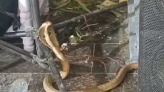 ಮಿತಿಮೀರಿ ನಡೆದುಕೊಂಡ ದರ್ಶನ್ ಅಭಿಮಾನಿಗೆ ಪೊಲೀಸ್ ಅಧಿಕಾರಿಯಿಂದ ಕಪಾಳಮೋಕ್ಷ