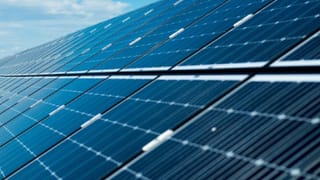 ಅಮೆರಿಕದ ಬೇಹುಗಾರಿಕೆ ನೀಡಿದ ಮಾಹಿತಿಯಿಂದ ಬೆಚ್ಚಿಬಿದ್ದಿದ್ದರು ಆ್ಯಪಲ್ ಸಿಇಒ ಟಿಮ್ ಕುಕ್