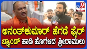 ಅನಂತ್​​ ಕುಮಾರ್​​ ಹೆಗಡೆ ಮರಳಿ ರಾಜಕೀಯಕ್ಕೆ? ಶ್ರೀರಾಮುಲು ಹೇಳಿದ್ದಿಷ್ಟು
