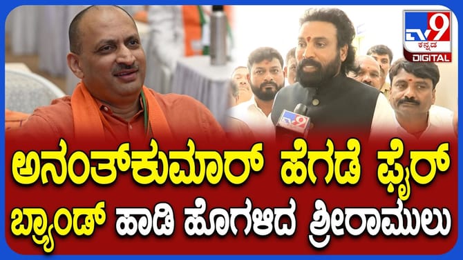 ಅನಂತ್​​ ಕುಮಾರ್​​ ಹೆಗಡೆ ಮರಳಿ ರಾಜಕೀಯಕ್ಕೆ? ಶ್ರೀರಾಮುಲು ಹೇಳಿದ್ದಿಷ್ಟು