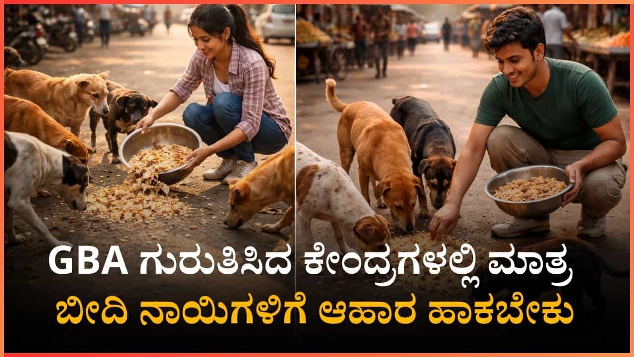 GBA ಗುರುತಿಸಿದ ಕೇಂದ್ರಗಳಲ್ಲಿ ಮಾತ್ರ ಬೀದಿ ನಾಯಿಗಳಿಗೆ ಆಹಾರ ಹಾಕಬೇಕು: ಉಲ್ಲಂಘಿಸಿದರೆ ದಂಡ