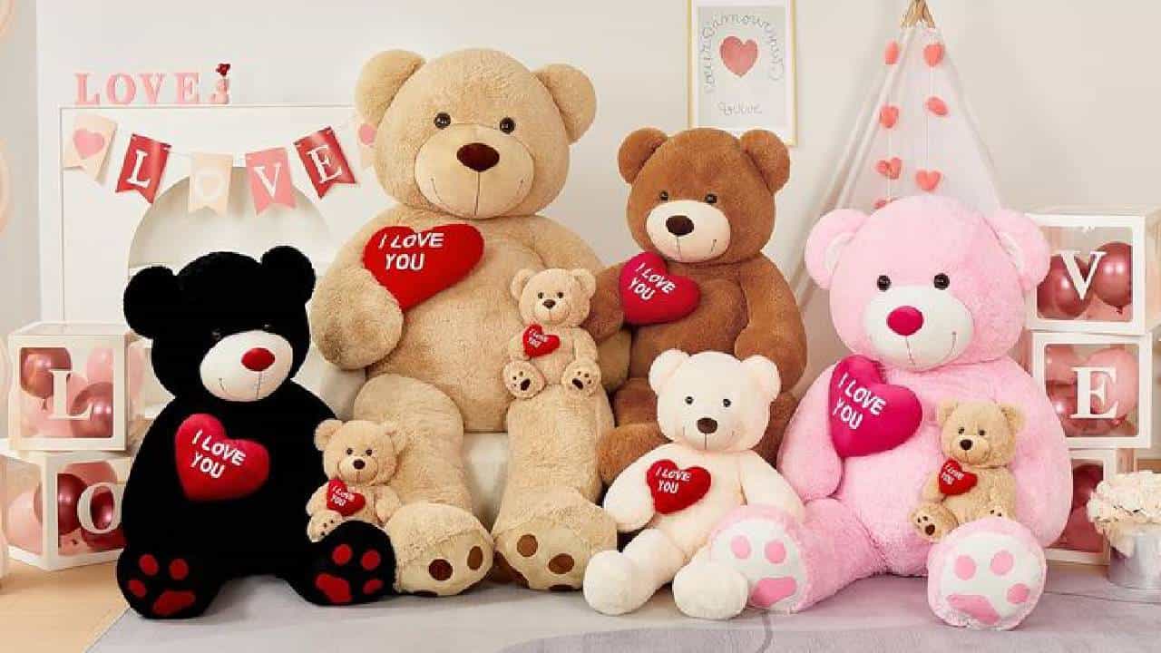 Teddy Day 2026: ಇದು ಬರೀ ಗಿಫ್ಟ್‌ ಅಲ್ಲ… ಪ್ರತಿ ಬಣ್ಣದ ಟೆಡ್ಡಿಬೇರ್‌ಗೂ ಒಂದು ಅರ್ಥ ಇದೆ