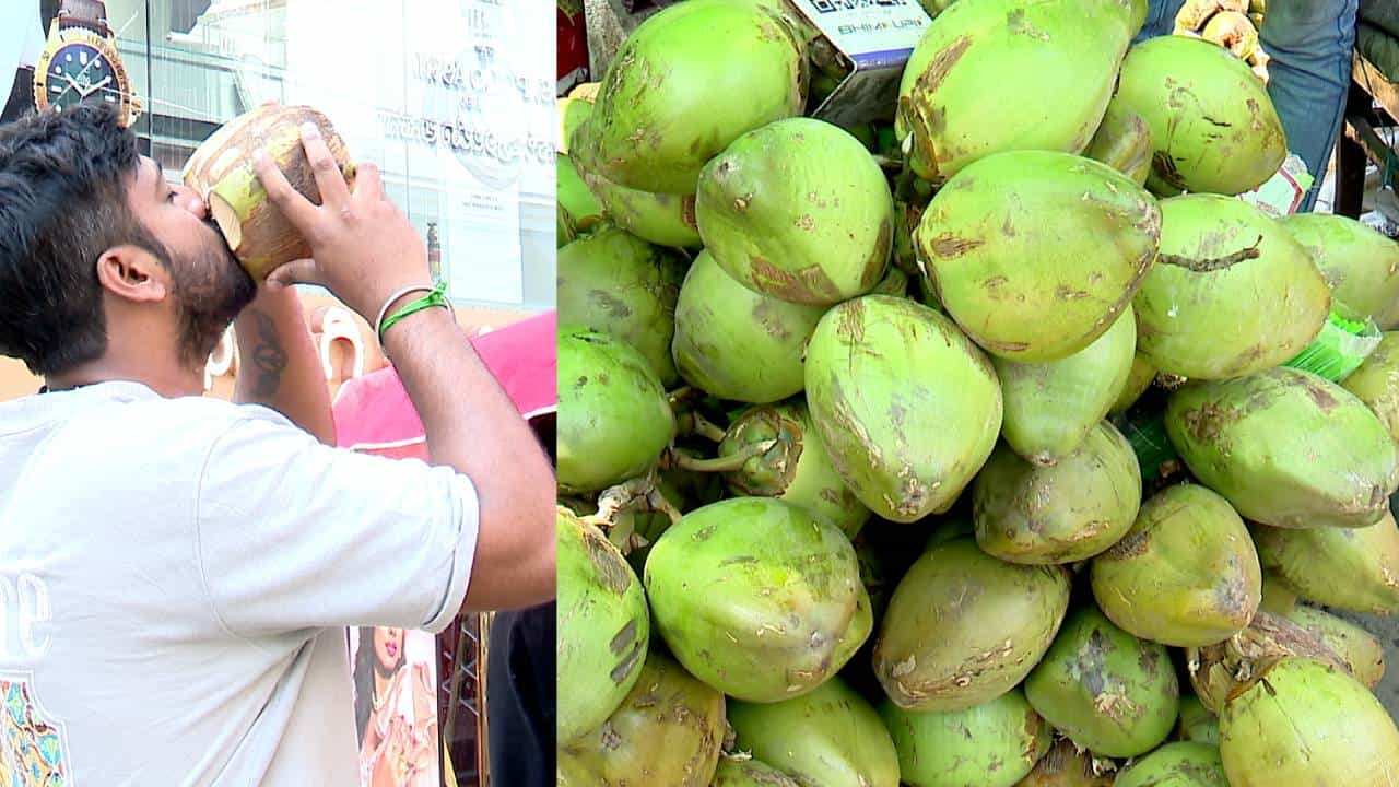 ಬೆಂಗಳೂರಿನಲ್ಲಿ ಬಿಸಿಲಿನ ಪ್ರಮಾಣ ಹೆಚ್ಚಳ: ಎಳನೀರಿಗೆ ಡಿಮ್ಯಾಂಡಪ್ಪೋ ಡಿಮ್ಯಾಂಡ್
