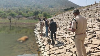 ಗಂಡು ಹುಲಿ ಮೃತದೇಹ ಪತ್ತೆ: ಡ್ಯಾಂನಲ್ಲಿ ಶವ ತೇಲುತ್ತಿರುವುದನ್ನು ಕಂಡು ಬೆಚ್ಚಿಬಿದ್ದ ಪ್ರವಾಸಿಗರು