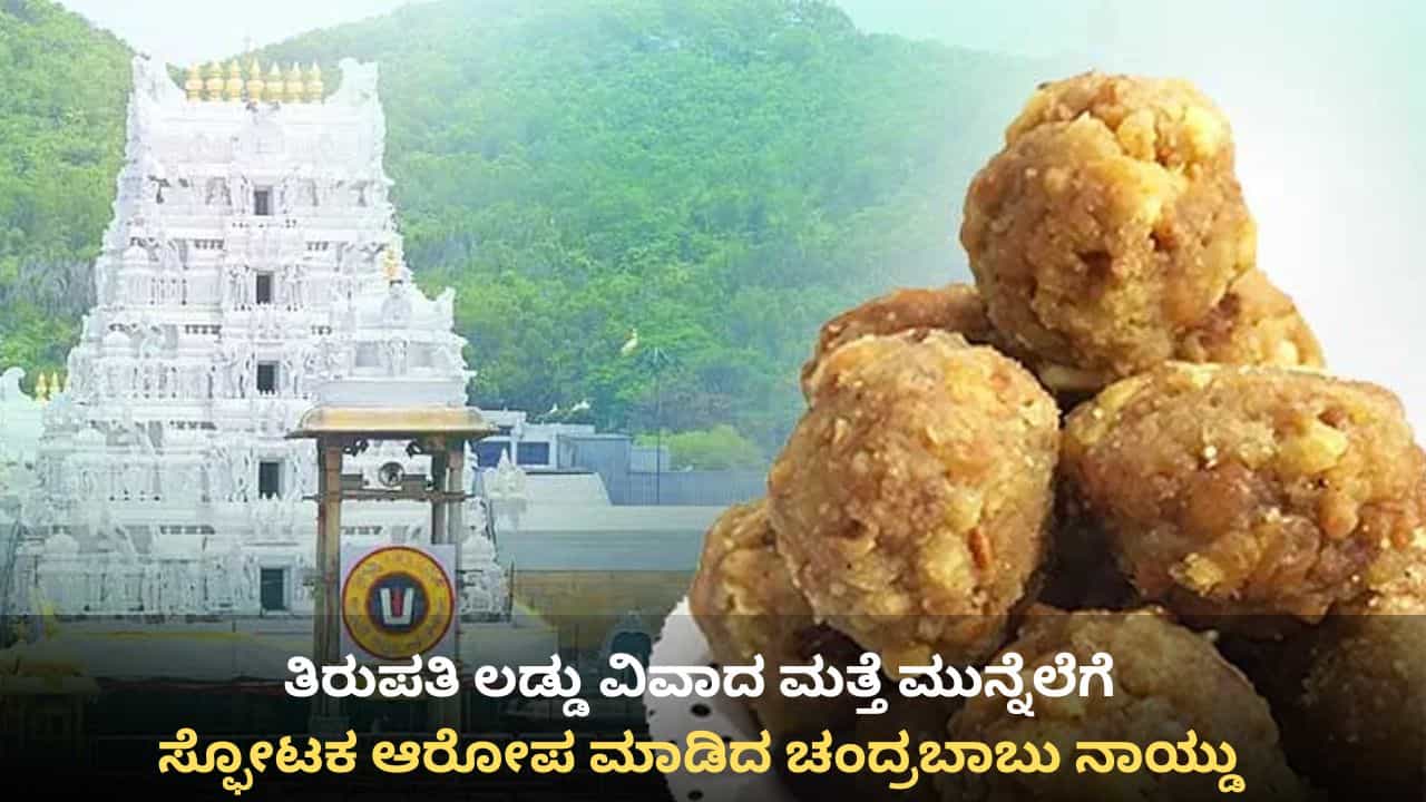 ತಿರುಪತಿ ಲಡ್ಡು ತಯಾರಿಸಲು ಬಳಸಿದ್ರಾ ಬಾತ್​ರೂಮ್ ಸ್ವಚ್ಛಗೊಳಿಸುವ ರಾಸಾಯನಿಕ? ಹಿಂದಿನ ಸರ್ಕಾರದ ವಿರುದ್ಧ ನಾಯ್ಡು ಸ್ಫೋಟಕ ಆರೋಪ