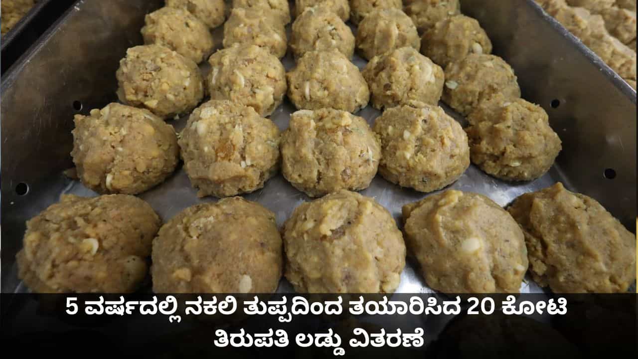 5 ವರ್ಷದಲ್ಲಿ ನಕಲಿ ತುಪ್ಪದಿಂದ ತಯಾರಿಸಿದ 20 ಕೋಟಿ ತಿರುಪತಿ ಲಡ್ಡು ವಿತರಣೆ; ಸಿಎಂ ಚಂದ್ರಬಾಬು ನಾಯ್ಡು ಮಾಹಿತಿ