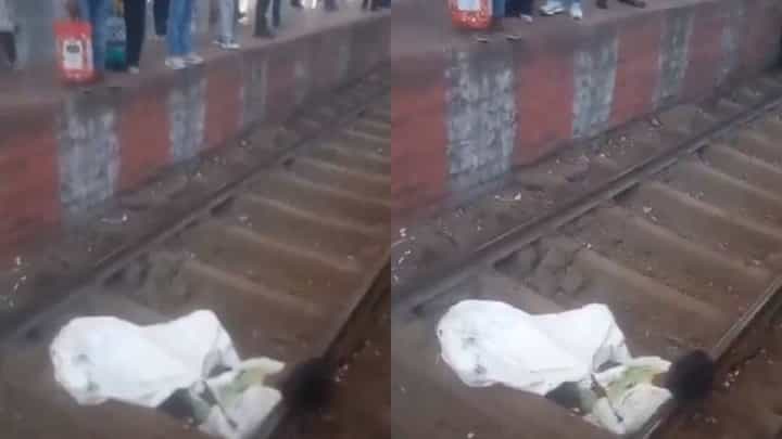 Video: ಕುಡಿದ ಅಮಲಿನಲ್ಲಿ ಬಿಳಿ ಚೀಲ ಹೊದ್ದು ರೈಲ್ವೆ ಹಳಿ ಮೇಲೆ ಮಲಗಿ ಗೊರಕೆ ಹೊಡೆದ ವ್ಯಕ್ತಿ Video: ಕುಡಿದ ಅಮಲಿನಲ್ಲಿ ಬಿಳಿ ಚೀಲ ಹೊದ್ದು ರೈಲ್ವೆ ಹಳಿ ಮೇಲೆ ಮಲಗಿ ಗೊರಕೆ ಹೊಡೆದ ವ್ಯಕ್ತಿ