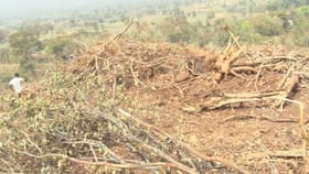 ಸೋಲಾರ್ ಪ್ಲಾಂಟ್ ಹೆಸರಲ್ಲಿ ಗುಡ್ಡ ಅಗೆದು ಸಾವಿರಾರು ಮರಗಳ ಮಾರಣಹೋಮ