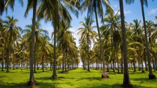 IAS Officer Pulkit Garg: ದುಬಾರಿ ಬೇಬಿ ಸಿಟ್ಟಿಂಗ್​ ಬದಲಾಗಿ ತನ್ನ ಮಗಳನ್ನು ಅಂಗನವಾಡಿಗೆ ಸೇರಿಸಿದ IAS ಅಧಿಕಾರಿ