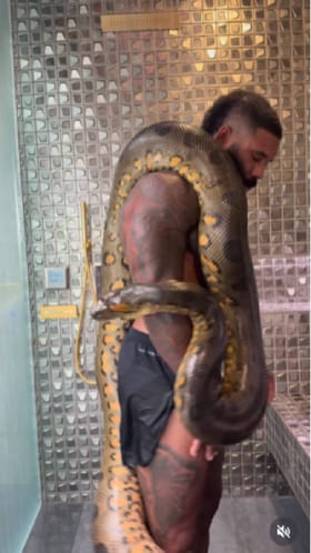 ದೈತ್ಯ ಹಾವಿನ ಜೊತೆ ಈತನ ಗೆಳೆತನ ಹೇಗಿದೆ ನೋಡಿ