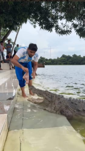 ಮೊಸಳೆಗೆ ಕೈತುತ್ತು ನೀಡುತ್ತಿರುವ ಈ ವ್ಯಕ್ತಿಯನ್ನೊಮ್ಮೆ ನೋಡಿ