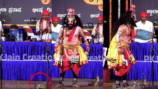 ಯಕ್ಷಗಾನ ನೋಡಲು ವೇದಿಕೆಯತ್ತ ಬಂದ ಬೆಕ್ಕಣ್ಣ