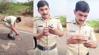 Video: ಕರುವಿನ ಮೈ ಮೇಲಿನ ಉಣ್ಣೆಗಳನ್ನು ಹೆಕ್ಕಿ ತೆಗೆದ ಸಾಕು ನಾಯಿ