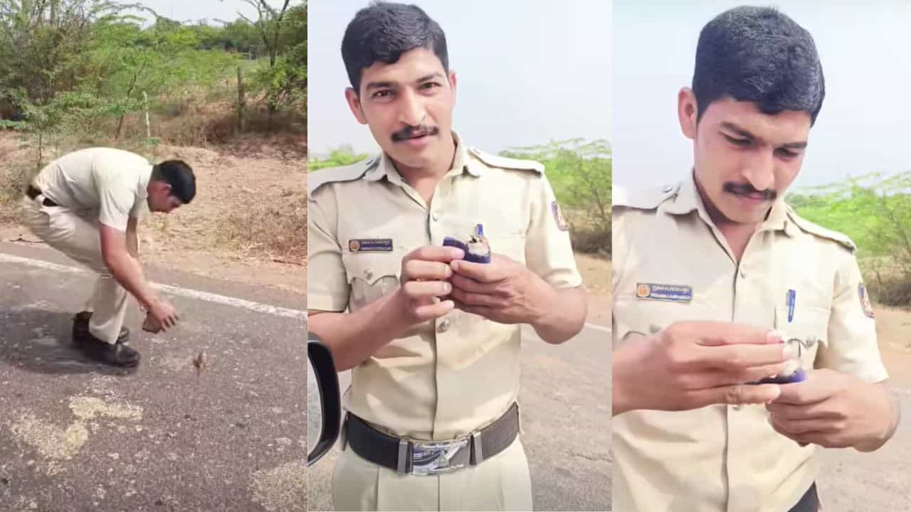 Video: ರಸ್ತೆಯಲ್ಲಿ ಬಿದ್ದಿದ್ದ ಗುಬ್ಬಚ್ಚಿಗೆ ನೀರು ಕುಡಿಸಿ ಬಾಯಾರಿಕೆ ನೀಗಿಸಿದ ಕರ್ತವ್ಯ ನಿರತ ಪೊಲೀಸ್ Video: ರಸ್ತೆಯಲ್ಲಿ ಬಿದ್ದಿದ್ದ ಗುಬ್ಬಚ್ಚಿಗೆ ನೀರು ಕುಡಿಸಿ ಬಾಯಾರಿಕೆ ನೀಗಿಸಿದ ಕರ್ತವ್ಯ ನಿರತ ಪೊಲೀಸ್