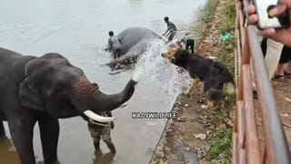 ಬೈಕ್​ನಲ್ಲಿ ಸ್ಟಂಟ್ ಮಾಡಿದ ಪ್ರೇಮಿಯಿಂದ ಮಹಿಳೆಯ ಗುಪ್ತಾಂಗಕ್ಕೆ ಗಾಯ!