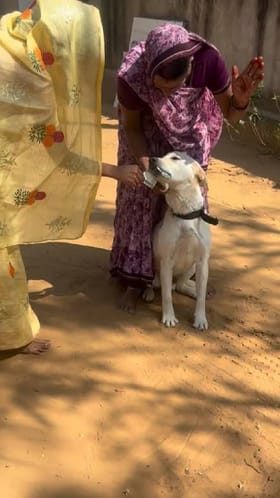 ಬಾಯಲ್ಲಿ ಕಚ್ಚಿ ಹಿಡಿದ ನೋಟು ಕೊಡಲು ಒಲ್ಲೆ ಎಂದ ನಾಯಿ