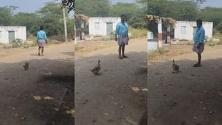 Video: ಪುಟ್ಟ ಮಗುವಿನಂತೆ ಮನೆಮಾಲೀಕನನ್ನು ಹಿಂಬಾಲಿಸಿದ ಬಾತುಕೋಳಿ