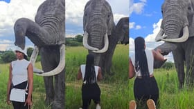 ಮಹಿಳೆಯ ತಲೆಯಲ್ಲಿದ್ದ ಟೋಪಿಯನ್ನು ಎಗರಿಸಿದ ಆನೆ, ಮುಂದೇನಾಯ್ತು ನೋಡಿ