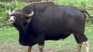 Video: ಸ್ಟಾರ್ಟ್ಅಪ್‌ ಕಂಪನಿಯ ಕೆಲಸದ ಸಂಸ್ಕೃತಿಯನ್ನು ಟೀಕಿಸಿದ ಬೆಂಗಳೂರಿನ ಯುವಕ, ಕಾರಣ ಇದೇ ನೋಡಿ