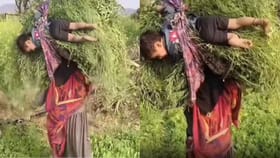 ಪುಟಾಣಿಯನ್ನು ಹುಲ್ಲಿನ ಹೊರೆಯಲ್ಲಿ ಕಟ್ಟಿ ತಲೆ ಮೇಲೆ ಹೊತ್ತು ಸಾಗಿದ ತಾಯಿ