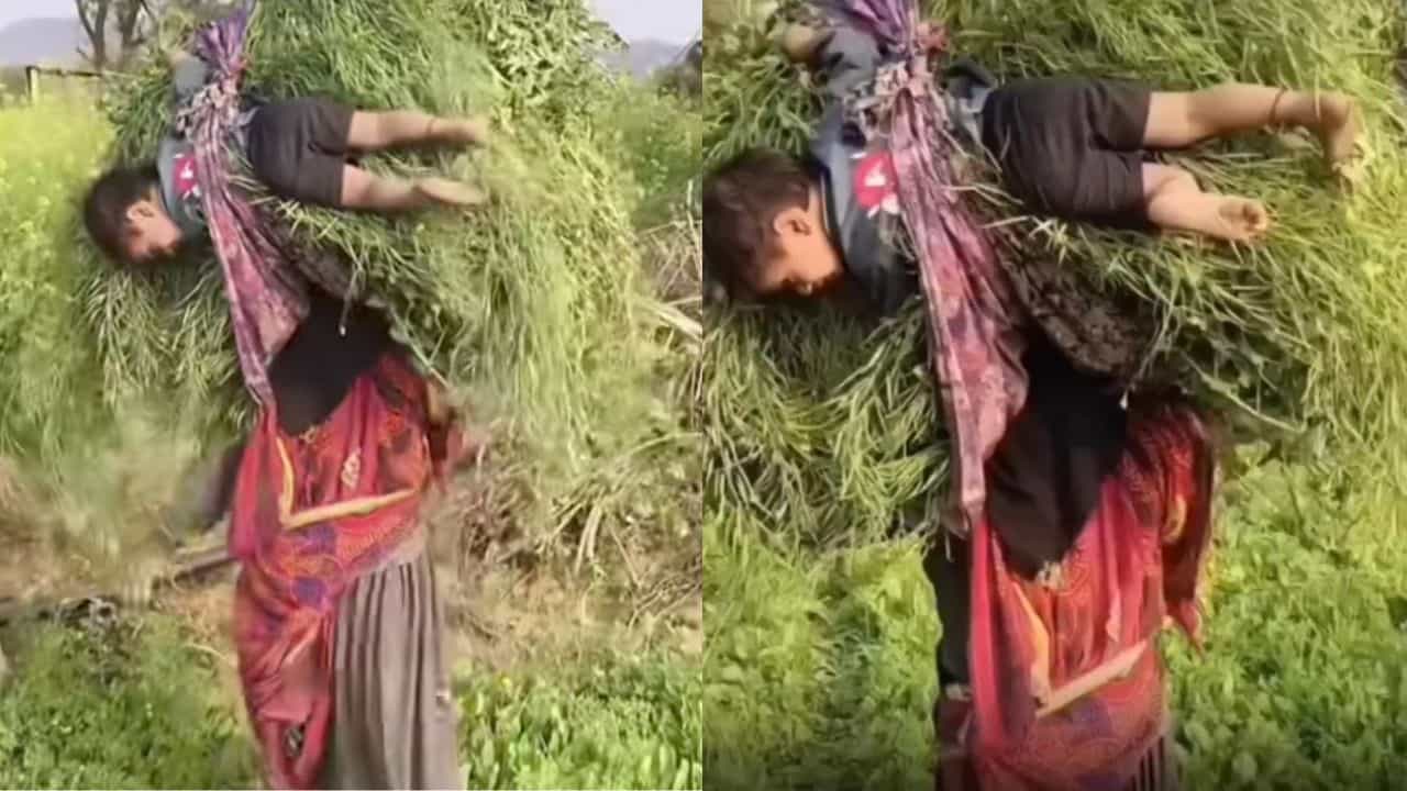 Video: ಪುಟ್ಟ ಕಂದಮ್ಮನನ್ನು ಹುಲ್ಲಿನ ಹೊರೆಯಲ್ಲಿ ಕಟ್ಟಿ ತಲೆ ಮೇಲೆ ಹೊತ್ತು ಸಾಗಿದ ಹೆತ್ತಮ್ಮ