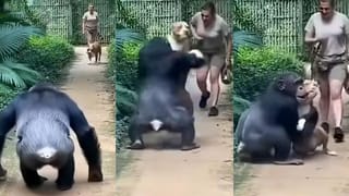 Video: ಟ್ರಿಪ್‌ಗೆ ಹೊರಟ ಯುವತಿ ವಿಮಾನ ಹತ್ತುತ್ತಿದ್ದಂತೆ ರಜೆ ಕ್ಯಾನ್ಸಲ್ ಮಾಡಿದ ಬಾಸ್