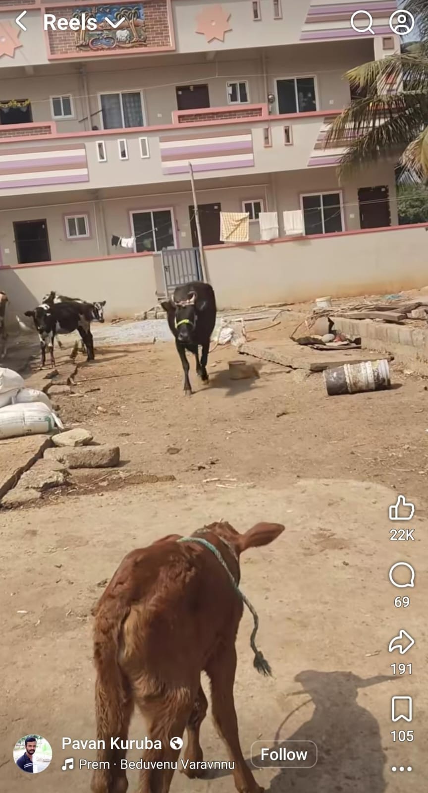 ವೈರಲ್ ವಿಡಿಯೋ