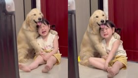 ಅಮ್ಮ ಬೈದದ್ದಕ್ಕೆ ಮನೆಯ ಶ್ವಾನದ ಬಳಿ ಅಳುತ್ತಾ ಕಂಪ್ಲೇಂಟ್ ಹೇಳಿದ ಪುಟಾಣಿ