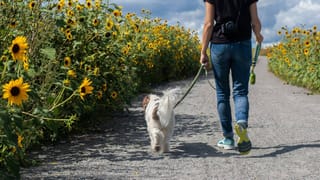 ಗೃಹಣಿಯರೇ… ಪಾತ್ರೆ ತೊಳೆಯುವ ಸ್ಪಾಂಜ್‌ಗಳನ್ನು ಎಷ್ಟು ಬಾರಿ ಬದಲಾಯಿಸಬೇಕು ತಿಳ್ಕೊಳ್ಳಿ