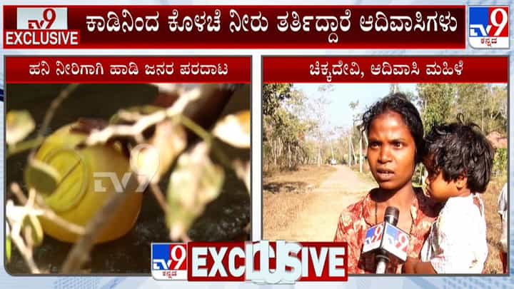 ಕಾವೇರಿ ನದಿ ತವರಲ್ಲೇ ಹನಿ ನೀರಿಗೂ ಹಾಹಾಕಾರ: ಹಾಡಿ ಜನ ಕುಡಿಯುತ್ತಿರೋದು ಕೊಳಚೆ ನೀರು! ಕಾವೇರಿ ನದಿ ತವರಲ್ಲೇ ಹನಿ ನೀರಿಗೂ ಹಾಹಾಕಾರ: ಹಾಡಿ ಜನ ಕುಡಿಯುತ್ತಿರೋದು ಕೊಳಚೆ ನೀರು!