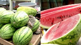 ಕಲ್ಲಂಗಡಿ, ಐಸ್ ಕ್ರೀಂ ತಿನ್ನುವ ಮುನ್ನ ಬಿ ಕೇರ್​ಫುಲ್ ಎಂದ ಆರೋಗ್ಯ ಇಲಾಖೆ