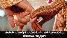 ಮದುಮಗಳ ಮುದ್ದಿನ ನಾಯಿಗೆ ಹೊಡೆದ ವರನ ಸಂಬಂಧಿಕರು; ಮದುವೆಯೇ ಕ್ಯಾನ್ಸಲ್!